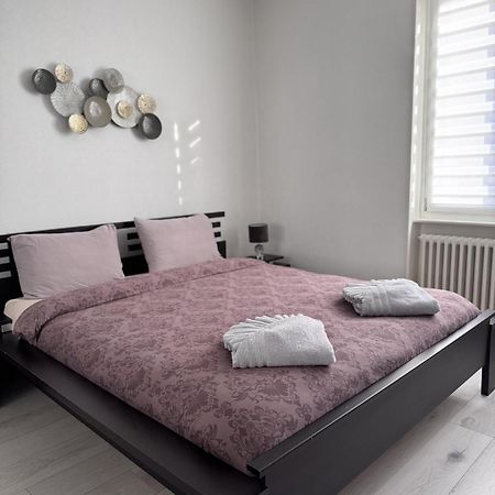 Appartement Des 3 Pays. 2 Mn De Bale+ Free Parking Saint-Louis  Luaran gambar