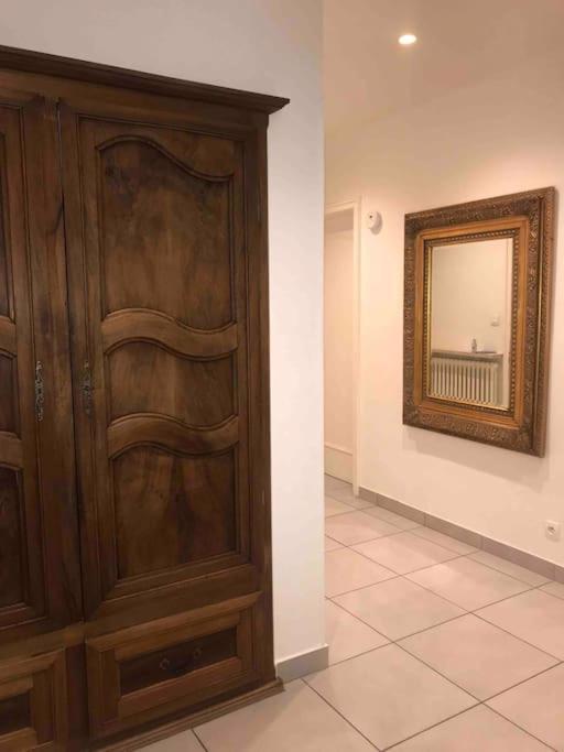 Appartement Des 3 Pays. 2 Mn De Bale+ Free Parking Saint-Louis  Luaran gambar