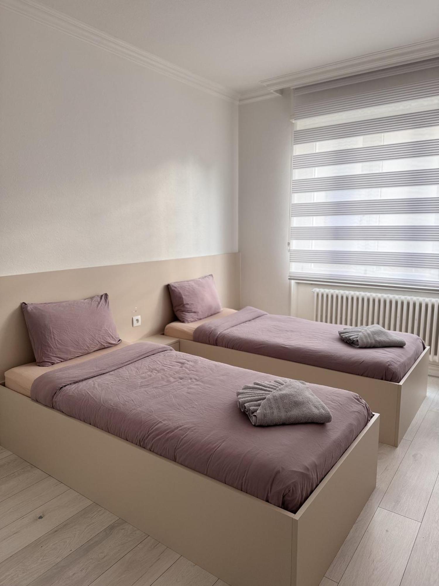Appartement Des 3 Pays. 2 Mn De Bale+ Free Parking Saint-Louis  Luaran gambar