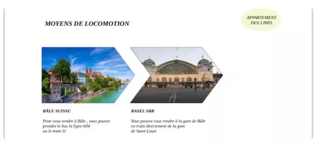 Appartement Des 3 Pays. 2 Mn De Bale+ Free Parking Saint-Louis  Luaran gambar