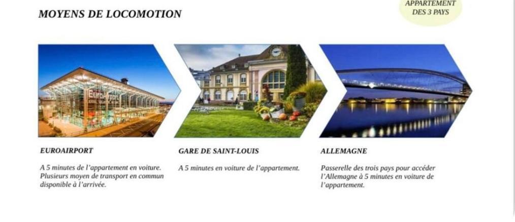 Appartement Des 3 Pays. 2 Mn De Bale+ Free Parking Saint-Louis  Luaran gambar