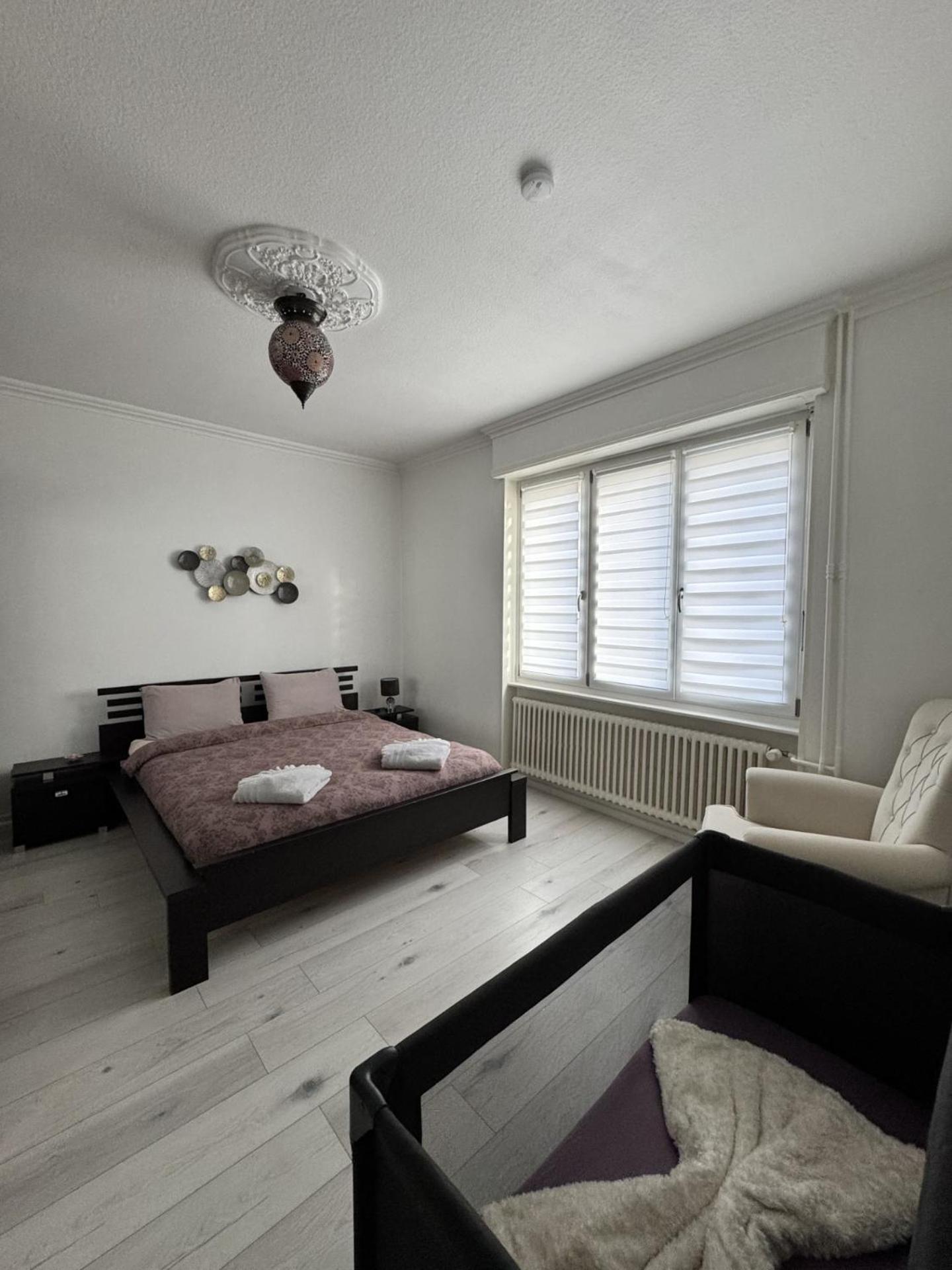 Appartement Des 3 Pays. 2 Mn De Bale+ Free Parking Saint-Louis  Luaran gambar
