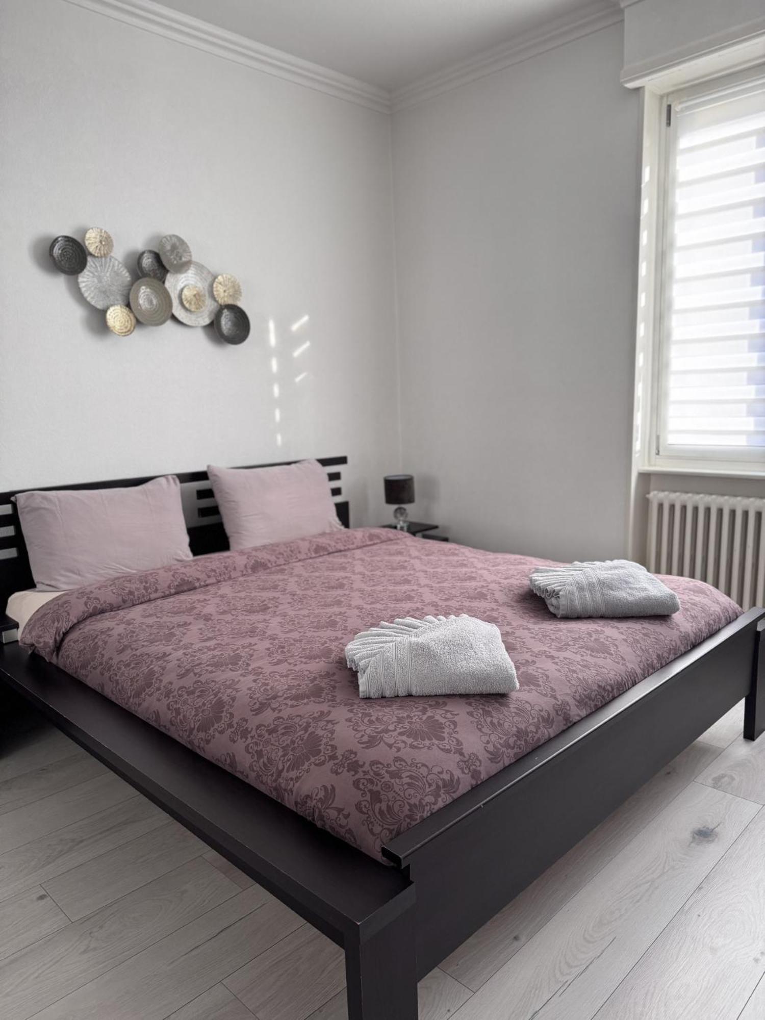 Appartement Des 3 Pays. 2 Mn De Bale+ Free Parking Saint-Louis  Luaran gambar